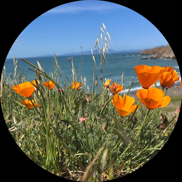 Profile Picture of Shawn Mccullough (@shawn_mcc31) on Poshmark