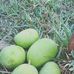 Profile Picture of Kamal Narayan Kamal Narayan (@kamalnarayan.kamalnarayan.1293) on Facebook