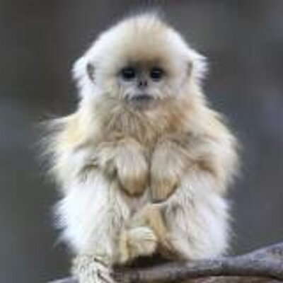 Profile Picture of Bria Moore (@briamoore5) on Twitter