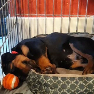 Profile Picture of Ben Bolser (@Ben-Bolser) on Facebook