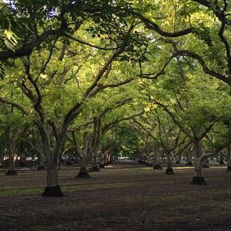 Profile Picture of Matt Dunckel (@DunckelMatt) on Twitter