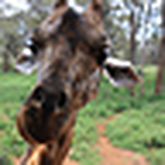 Profile Picture of Ajay Kamalakaran (@ajaysakh) on Flickr