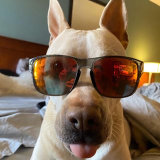 Profile Picture of Sean Wilber (@wilbersk) on Facebook