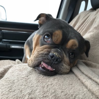 Profile Picture of Hugh (@MattHughesman) on Twitter