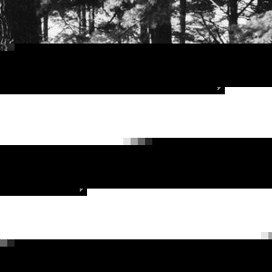 Profile Picture of Eric Bogaczyk (@ericbogaczyk) on Myspace