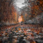 Profile Picture of Leah Ewing (@leah.ewing.125) on Instagram