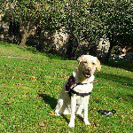 Profile Picture of Paul Maxfield (@pepsimax32138) on Instagram