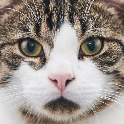 Profile Picture of Emiel Lensink (@emiellensink) on Twitter