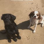 Profile Picture of chad_roscoe_ (@chad_roscoe_) on Instagram