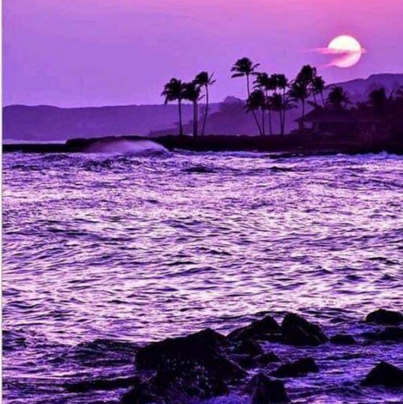 Profile Picture of Cindy Kieras (@ckieras68) on Poshmark