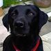 Profile Picture of Sharon Cutts (@sharon.cutts.31) on Facebook