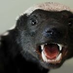 Profile Picture of Chris Badger (@anarchobadger) on Instagram