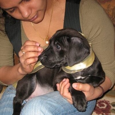 Profile Picture of Montu Patel (@MontuPatel) on Twitter
