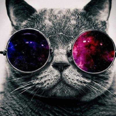 Josh Hall Taylor - Twitter Profile Picture of Josh Hall Taylor (@Santipro4f) on Twitter