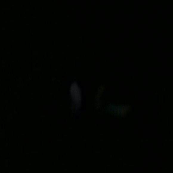 Susan Eliopoulos - Poshmark Profile Picture of Susan Eliopoulos (@wolfdog01) on Poshmark