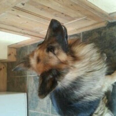 Peter Behan - Twitter Profile Picture of Peter Behan (@behan_peter) on Twitter