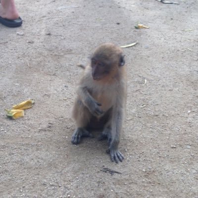 Profile Picture of Aaron Traynham (@ajt0701) on Twitter