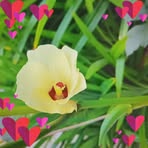 Profile Picture of Erica Dobbin (@Erica-Dobbin) on Facebook