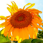 Profile Picture of M Beely (@beely_m) on Flickr