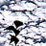 Profile Picture of Hiroshi Hayase (@ocean3055) on Flickr