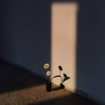 Profile Picture of Jasmine Twfiq Mohemd (@jasmine.waheed.mohemd) on Facebook