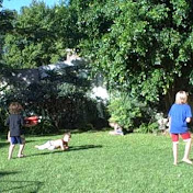 Profile Picture of Pojomovsky (@pojomovsky) on Youtube