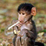 Profile Picture of ismail_rahim (@ismailrahim) on Instagram