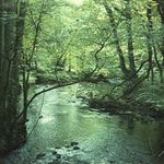 Profile Picture of Michael Bellamy (@analogue_orogeny) on Instagram