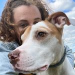 Profile Picture of Colette Olivia (@colettiekins) on Instagram