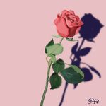 Profile Picture of shelly (@shelly.zhao) on Instagram