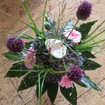 Marianne Adams-Kanters - Instagram Profile Picture of Marianne Adams-Kanters (@adamskanters) on Instagram