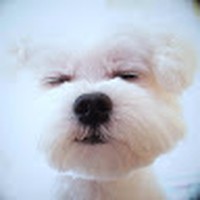 Profile Picture of Tsai Jin (@tsai-jin-1) on Quora