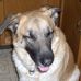 Profile Picture of Bailey Deverter (@bailey.deverter) on Facebook