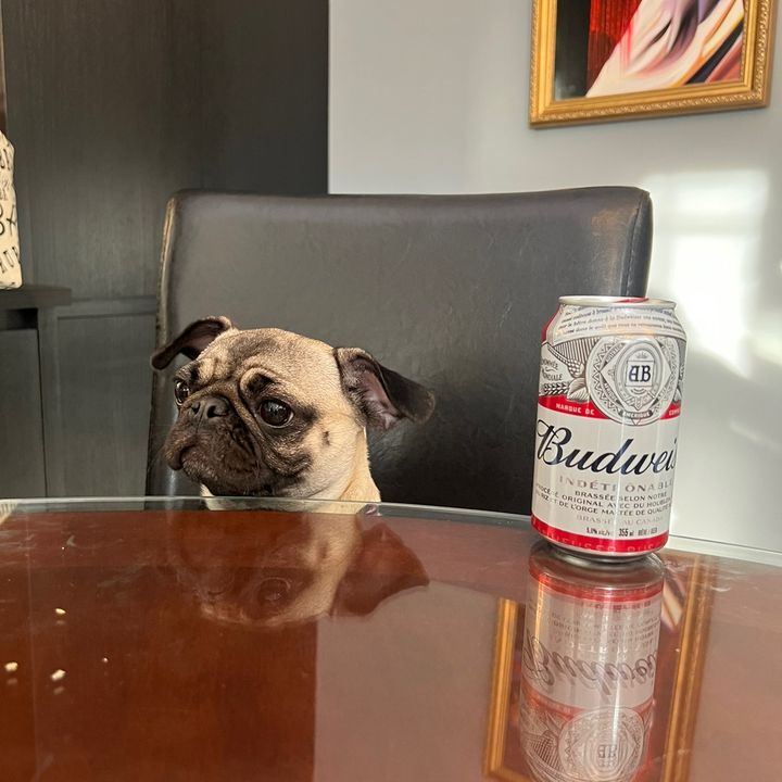 Profile Picture of Jason Larche (@jasonlarche) on Tiktok