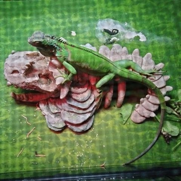 Profile Picture of Steven Martin (@steven_2014) on Poshmark