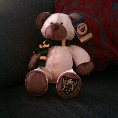 Profile Picture of Michael Maddison (@MJMaddison) on Twitter