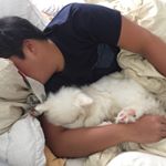 Profile Picture of Cephas Wong (@king_cephie) on Instagram