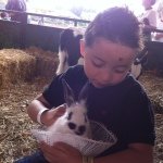 Profile Picture of Vicky Ayala (@vickydesigner) on Instagram