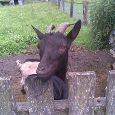 Profile Picture of Frank Fleischer (@utefleischer) on Twitter