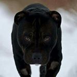 Profile Picture of David Petrásek (@petrasek2344) on Instagram