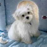 Profile Picture of Valentino Y Carlotta Severini (@valentinoycarlottaseverinir) on Instagram