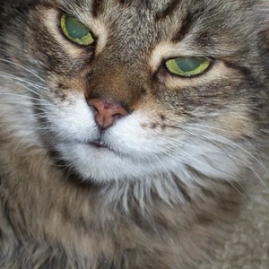 Profile Picture of Nancy Beckham (@257756119) on Myspace