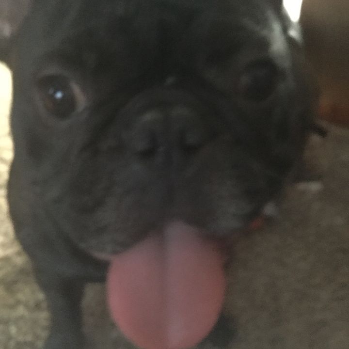 andismccasln - Tiktok Profile Picture of andismccasln (@andismccaslin) on Tiktok