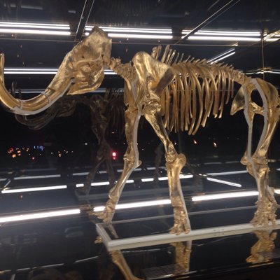 Profile Picture of TeflonTheProducer (@TefTheProducer) on Twitter