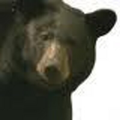 Profile Picture of Waldo Stanton V (@MsBeahanMichael) on Twitter