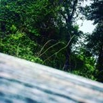 Profile Picture of Benjamin Ives (@bens_gallery_) on Instagram