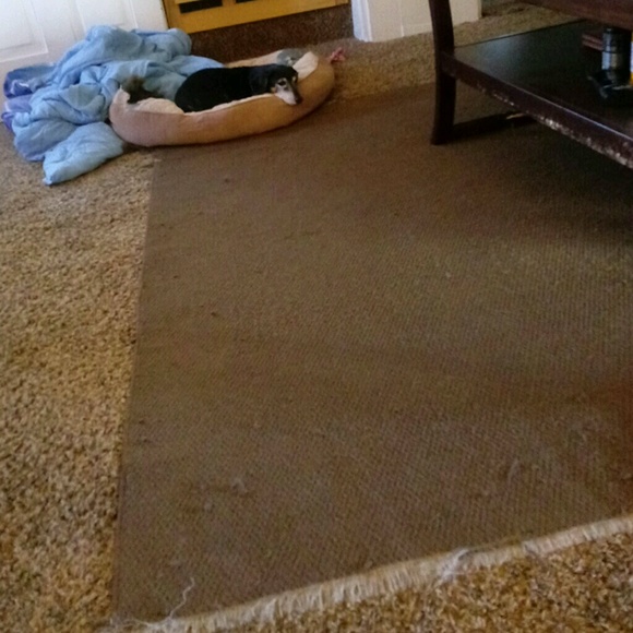 Profile Picture of Lisa Argo (@lisaargo) on Poshmark