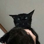 Profile Picture of Eugene Haley Chung / 정유진 (@eghaleyc_03) on Instagram