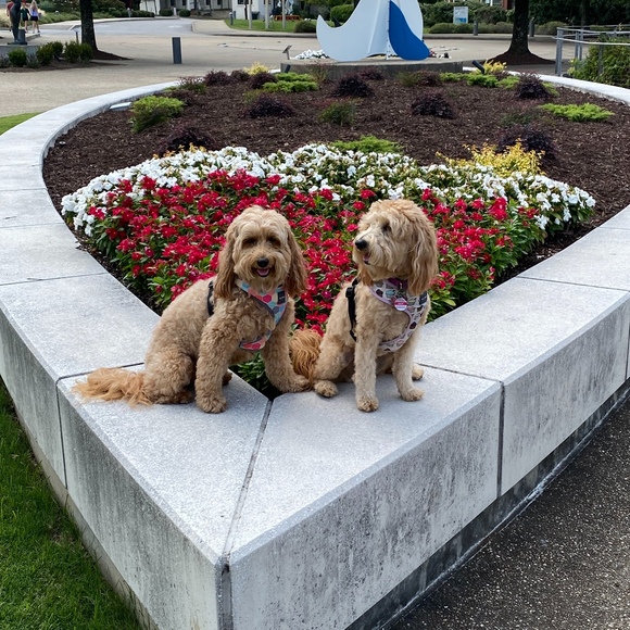 Profile Picture of Kay Castellow (@kaycastellow) on Poshmark