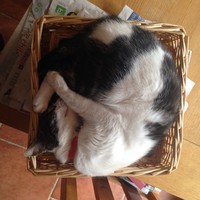 Profile Picture of Jess Cooling (@jess-cooling) on Quora